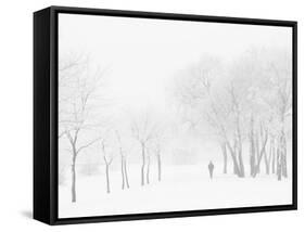 Winter, Saint Petersburg, Russia-Nadia Isakova-Framed Stretched Canvas