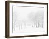 Winter, Saint Petersburg, Russia-Nadia Isakova-Framed Photographic Print