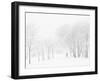 Winter, Saint Petersburg, Russia-Nadia Isakova-Framed Photographic Print