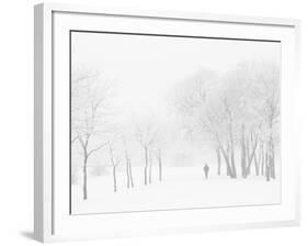 Winter, Saint Petersburg, Russia-Nadia Isakova-Framed Photographic Print