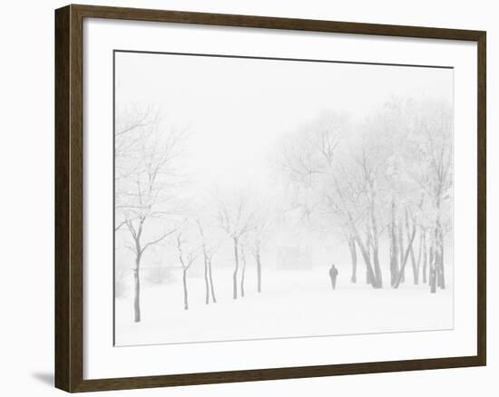 Winter, Saint Petersburg, Russia-Nadia Isakova-Framed Photographic Print