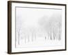 Winter, Saint Petersburg, Russia-Nadia Isakova-Framed Photographic Print