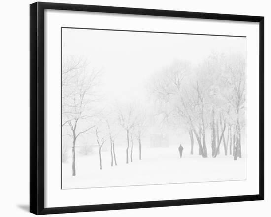 Winter, Saint Petersburg, Russia-Nadia Isakova-Framed Photographic Print