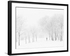 Winter, Saint Petersburg, Russia-Nadia Isakova-Framed Photographic Print