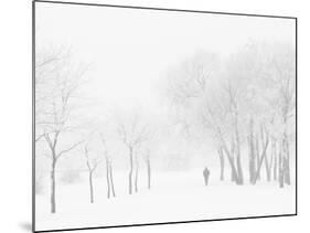 Winter, Saint Petersburg, Russia-Nadia Isakova-Mounted Photographic Print