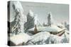 Winter Scene at Wilson's Peak-null-Stretched Canvas