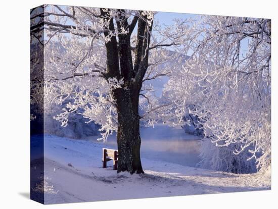 Winter Scene Beside the River Tay, Aberfeldy, Perthshire, Scotaland, UK-Kathy Collins-Stretched Canvas