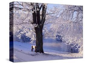 Winter Scene Beside the River Tay, Aberfeldy, Perthshire, Scotaland, UK-Kathy Collins-Stretched Canvas