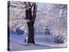 Winter Scene Beside the River Tay, Aberfeldy, Perthshire, Scotaland, UK-Kathy Collins-Stretched Canvas