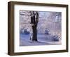 Winter Scene Beside the River Tay, Aberfeldy, Perthshire, Scotaland, UK-Kathy Collins-Framed Photographic Print