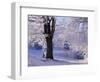 Winter Scene Beside the River Tay, Aberfeldy, Perthshire, Scotaland, UK-Kathy Collins-Framed Photographic Print