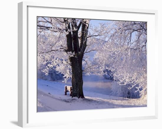 Winter Scene Beside the River Tay, Aberfeldy, Perthshire, Scotaland, UK-Kathy Collins-Framed Photographic Print