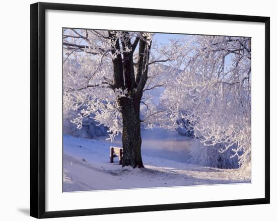 Winter Scene Beside the River Tay, Aberfeldy, Perthshire, Scotaland, UK-Kathy Collins-Framed Photographic Print