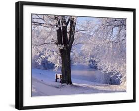 Winter Scene Beside the River Tay, Aberfeldy, Perthshire, Scotaland, UK-Kathy Collins-Framed Photographic Print