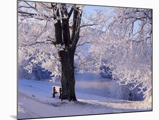 Winter Scene Beside the River Tay, Aberfeldy, Perthshire, Scotaland, UK-Kathy Collins-Mounted Photographic Print