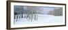 Winter Scene, Colorado-null-Framed Photographic Print