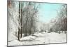 Winter Scene, Gloversville, New York-null-Mounted Art Print