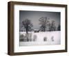 Winter Scene, Hill and Trees, Hut and Foreboding Sky-Sheila Haddad-Framed Photographic Print