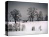 Winter Scene, Hill and Trees, Hut and Foreboding Sky-Sheila Haddad-Stretched Canvas