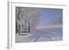 Winter Scene in Bavaria-Martina Bleichner-Framed Art Print