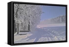 Winter Scene in Bavaria-Martina Bleichner-Framed Stretched Canvas