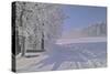 Winter Scene in Bavaria-Martina Bleichner-Stretched Canvas