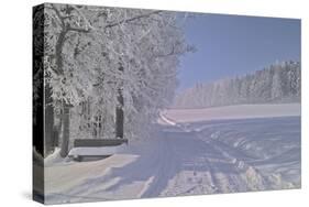 Winter Scene in Bavaria-Martina Bleichner-Stretched Canvas