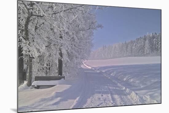 Winter Scene in Bavaria-Martina Bleichner-Mounted Art Print