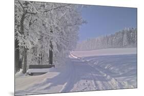 Winter Scene in Bavaria-Martina Bleichner-Mounted Art Print