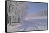 Winter Scene in Bavaria-Martina Bleichner-Framed Stretched Canvas