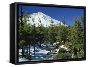 Winter Scene, Mount Teide, Tenerife, Canary Islands, Spain, Europe-Jean Brooks-Framed Stretched Canvas