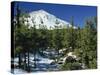 Winter Scene, Mount Teide, Tenerife, Canary Islands, Spain, Europe-Jean Brooks-Stretched Canvas