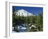 Winter Scene, Mount Teide, Tenerife, Canary Islands, Spain, Europe-Jean Brooks-Framed Photographic Print