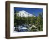 Winter Scene, Mount Teide, Tenerife, Canary Islands, Spain, Europe-Jean Brooks-Framed Photographic Print