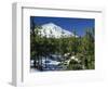 Winter Scene, Mount Teide, Tenerife, Canary Islands, Spain, Europe-Jean Brooks-Framed Photographic Print