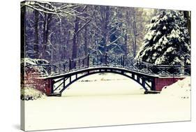 Winter Scene - Old Bridge in Winter Snowy Park-Gorilla-Stretched Canvas