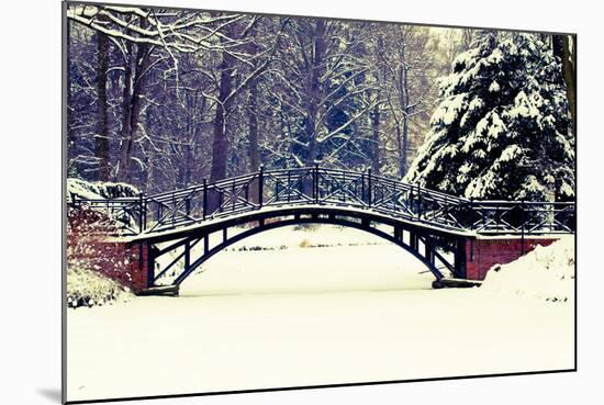 Winter Scene - Old Bridge in Winter Snowy Park-Gorilla-Mounted Photographic Print