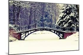 Winter Scene - Old Bridge in Winter Snowy Park-Gorilla-Mounted Photographic Print