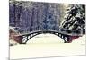 Winter Scene - Old Bridge in Winter Snowy Park-Gorilla-Mounted Photographic Print