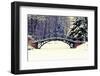 Winter Scene - Old Bridge in Winter Snowy Park-Gorilla-Framed Photographic Print