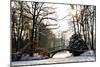 Winter Scene - Old Bridge in Winter Snowy Park-Gorilla-Mounted Photographic Print