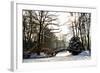 Winter Scene - Old Bridge in Winter Snowy Park-Gorilla-Framed Photographic Print