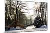 Winter Scene - Old Bridge in Winter Snowy Park-Gorilla-Mounted Photographic Print