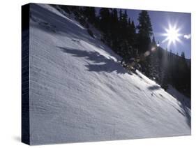 Winter Scene on Arapahoe Peak, Colorado-Michael Brown-Stretched Canvas