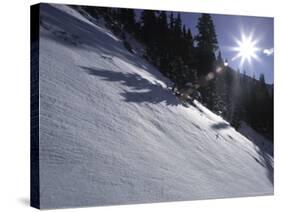 Winter Scene on Arapahoe Peak, Colorado-Michael Brown-Stretched Canvas