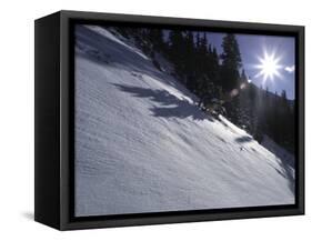 Winter Scene on Arapahoe Peak, Colorado-Michael Brown-Framed Stretched Canvas
