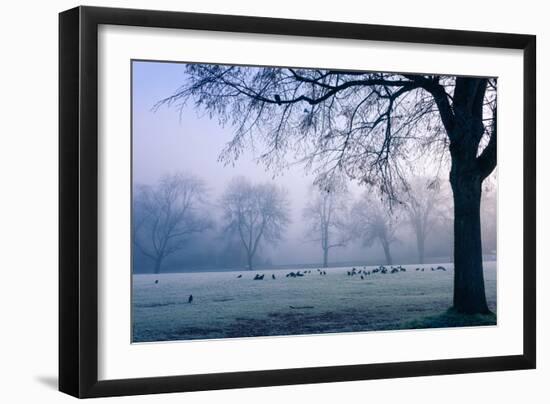 Winter Scene with a Flock of Birds Feeding on the Ground-Sharon Wish-Framed Photographic Print