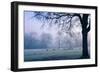 Winter Scene with a Flock of Birds Feeding on the Ground-Sharon Wish-Framed Photographic Print