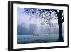 Winter Scene with a Flock of Birds Feeding on the Ground-Sharon Wish-Framed Photographic Print