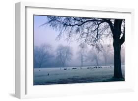 Winter Scene with a Flock of Birds Feeding on the Ground-Sharon Wish-Framed Photographic Print